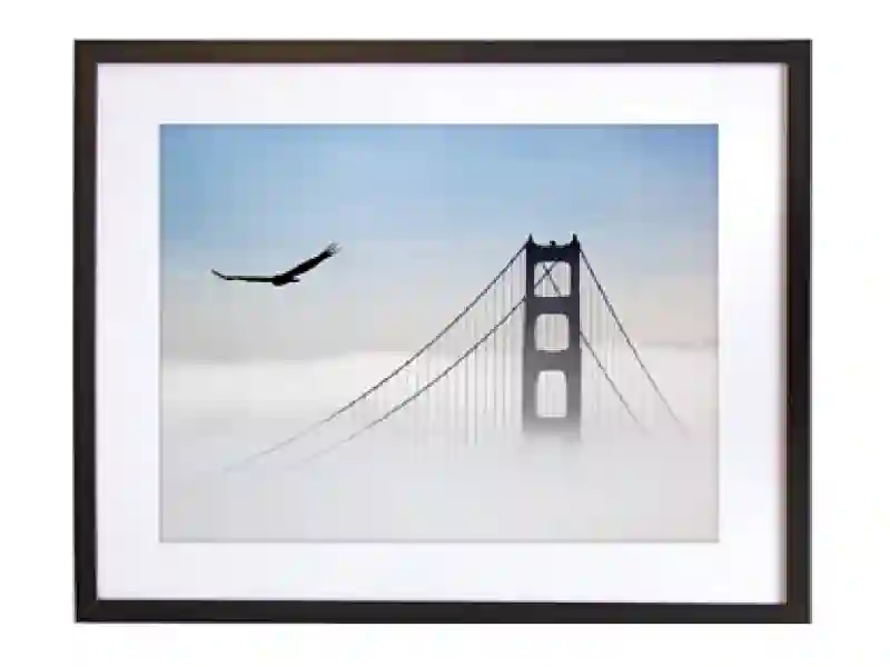 Eagle over the Golden Gate - 50 x 40 cm