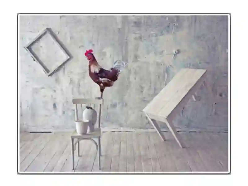 Equilibrium - 66 x 50 cm