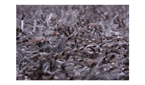 Rug JUNGLE - 160 x 230 cm